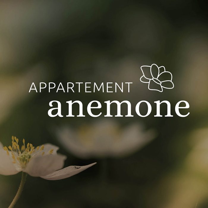 grafikatelier-montafon-branddesign-webdesign-grafikdesign-projekte25